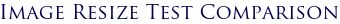 Image Resize Test Comparison